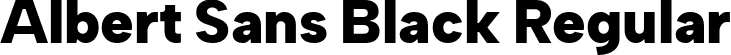Albert Sans Black Regular font - AlbertSans-Black.ttf