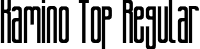 Kamino Top Regular font - Kamino-Top.ttf