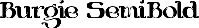 Burgie SemiBold font - BurgieSemibold-rgY59.ttf