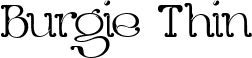 Burgie Thin font - BurgieThin-MVy7x.ttf