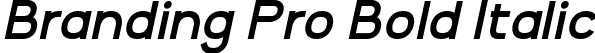 Branding Pro Bold Italic font - Branding Pro Bold Italic.otf