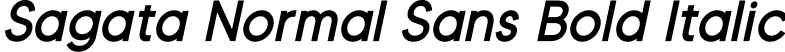 Sagata Normal Sans Bold Italic font - Sagata Normal Sans-Bold-Italic.otf