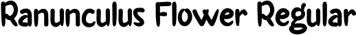Ranunculus Flower Regular font - Ranunculus Flower.otf