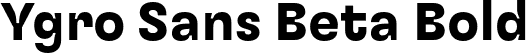 Ygro Sans Beta Bold font - YgroSansBeta-Bold.otf
