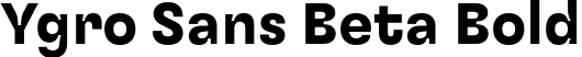 Ygro Sans Beta Bold font - YgroSansBeta-Bold.ttf