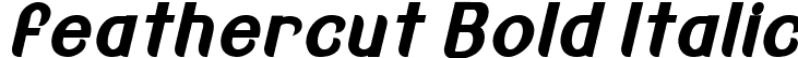 feathercut Bold Italic font - Feathercut-BoldCondensedItalic-SVG.ttf