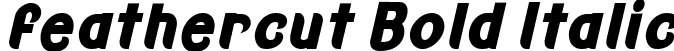 feathercut Bold Italic font - Feathercut-BlackCondensedItalics-SVG.ttf