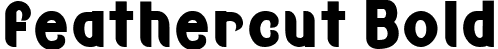 feathercut Bold font - Feathercut-BlackCondensed-SVG.ttf