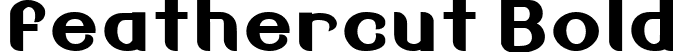 feathercut Bold font - Feathercut-Bold-SVG.ttf