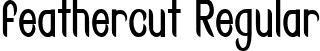 feathercut Regular font - Feathercut-ExtraCondensed-SVG.ttf