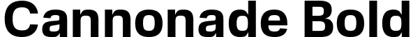 Cannonade Bold font - Cannonade Bold.ttf