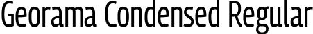 Georama Condensed Regular font - GeoramaCondensed-Regular-2.ttf