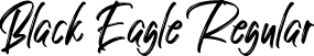 Black Eagle Regular font - blackeagle-qz0e5.otf