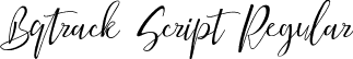 Bqtrack Script Regular font - bqtrack-script.ttf