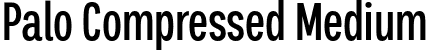 Palo Compressed Medium font - typeunion-palo-compressed-medium.otf