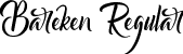 Bareken Regular font - bareken.ttf