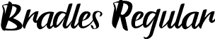 Bradles Regular font - Bradles.ttf