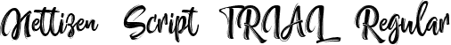 Nettizen Script_TRIAL Regular font - nettizen-trial.ttf