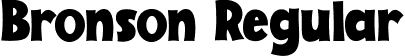 Bronson Regular font - Bronson-2OvJ8.ttf