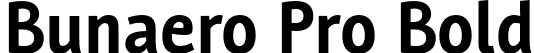 Bunaero Pro Bold font - Buntype - BunaeroPro-Bold.otf