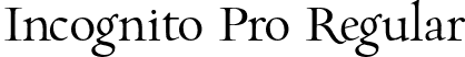 Incognito Pro Regular font - incognito-pro.otf