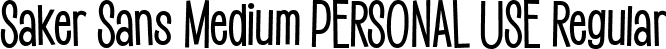 Saker Sans Medium PERSONAL USE Regular font - sakersansmedium-personal-use.ttf