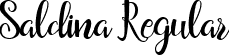 Saldina Regular font - saldina-webfont.ttf