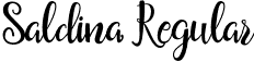 Saldina Regular font - Saldina.otf