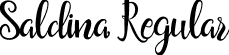 Saldina Regular font - Saldina.ttf