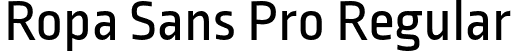 Ropa Sans Pro Regular font - lettersoup - RopaSansPro-Regular.otf