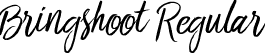 Bringshoot Regular font - Bringshoot.otf