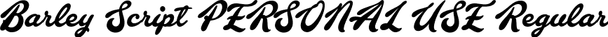 Barley Script PERSONAL USE Regular font - barleyscript-personal-use.ttf