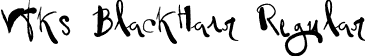 Vtks BlackHair Regular font - BlackHair.ttf