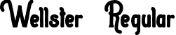 Wellster Regular font - Wellster.otf