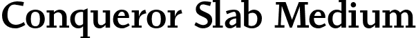 Conqueror Slab Medium font - ConquerorSlab-Medium.otf