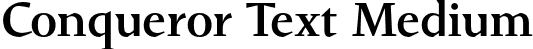 Conqueror Text Medium font - ConquerorText-Medium.otf