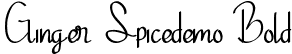 Ginger Spicedemo Bold font - GingerSpicedemoBold-ALRv6.ttf
