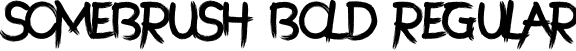 SomeBrush Bold Regular font - SomebrushBold-x3RV0.otf