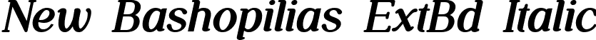 New Bashopilias ExtBd Italic font - NewBashopilias-ExtraBoldItalic.ttf