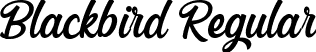 Blackbird Regular font - Blackbird.otf