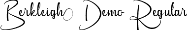 Berkleigh Demo Regular font - BerkleighDemoRegular.ttf