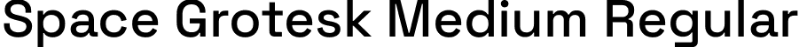 Space Grotesk Medium Regular font - SpaceGrotesk-Medium.ttf