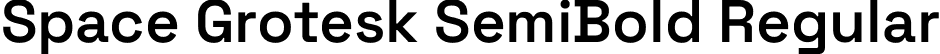 Space Grotesk SemiBold Regular font - SpaceGrotesk-SemiBold.ttf