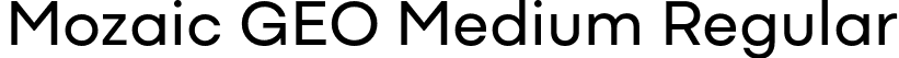 Mozaic GEO Medium Regular font - MozaicGEO-Medium.otf
