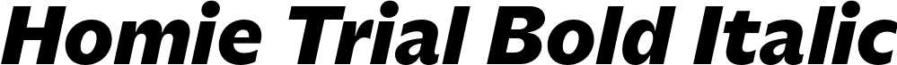 Homie Trial Bold Italic font - HomieTrial-BoldItalic.otf