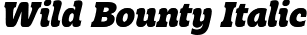 Wild Bounty Italic font - WildBounty-Italic.otf