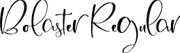 Bolaster Regular font - Bolaster.otf