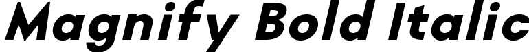 Magnify Bold Italic font - Magnify-BoldItalic.ttf