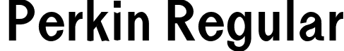 Perkin Regular font - Perkin-Regular.ttf