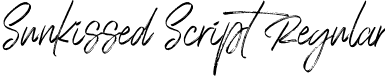 Sunkissed Script Regular font - Sunkissed x Textured Script.otf